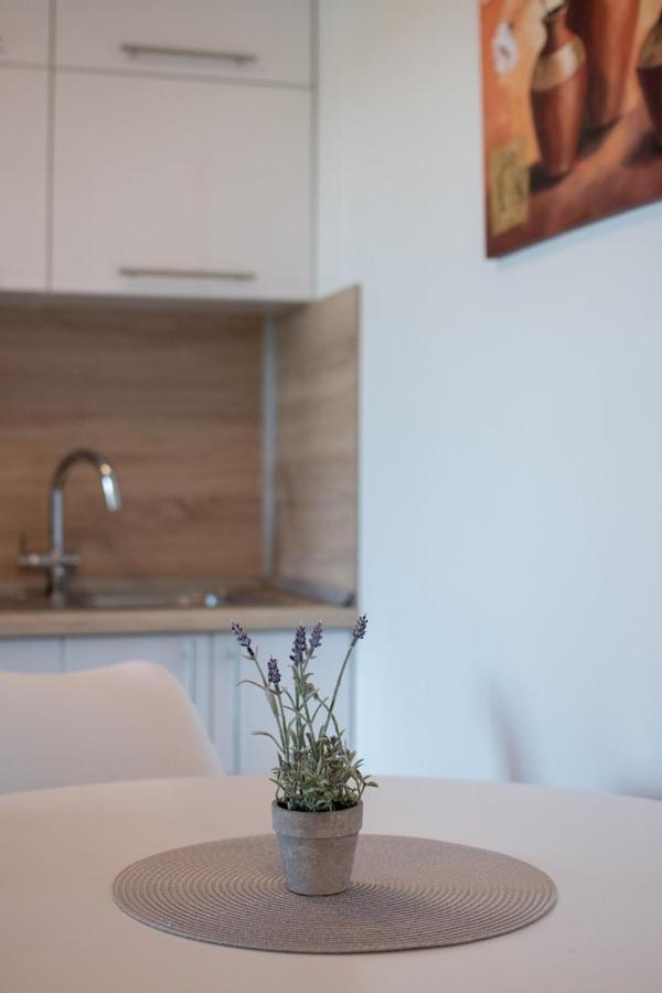Lavanda House With Apartments Бує Екстер'єр фото